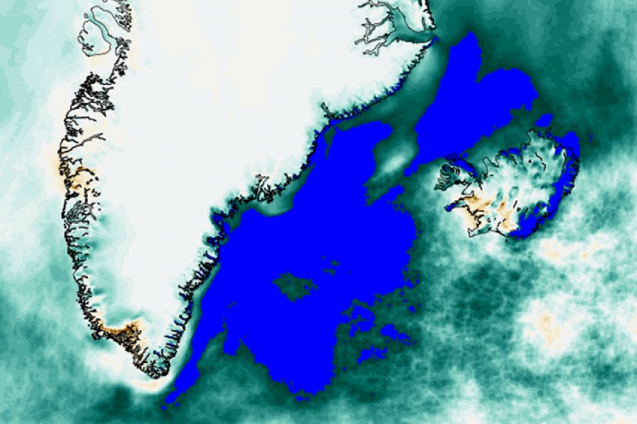 Rainfall change in the Arctic